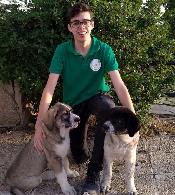 Alejandro con perritos Alejandro con los perritos de la familia